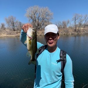 Meet your Posher, Jason